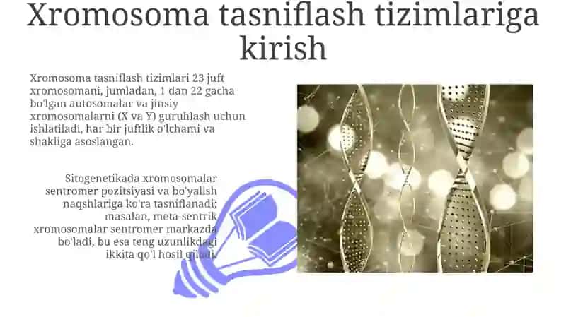 Xromosomalarning klasifikatsiya sistemalari 3