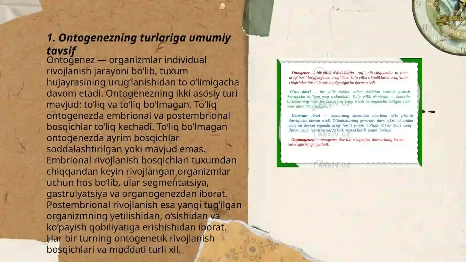 Ontogenez. Embrional taraqqiyotning xususiyatlari. Postnatal 3