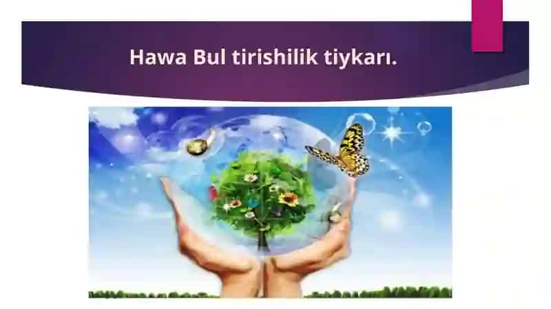 Hawa ortalıgʻı gigienik xarakteristikasi 3