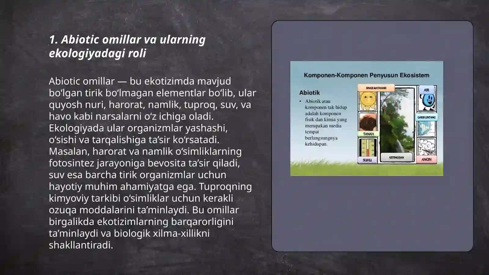 Abiotik va biotik omillar 3