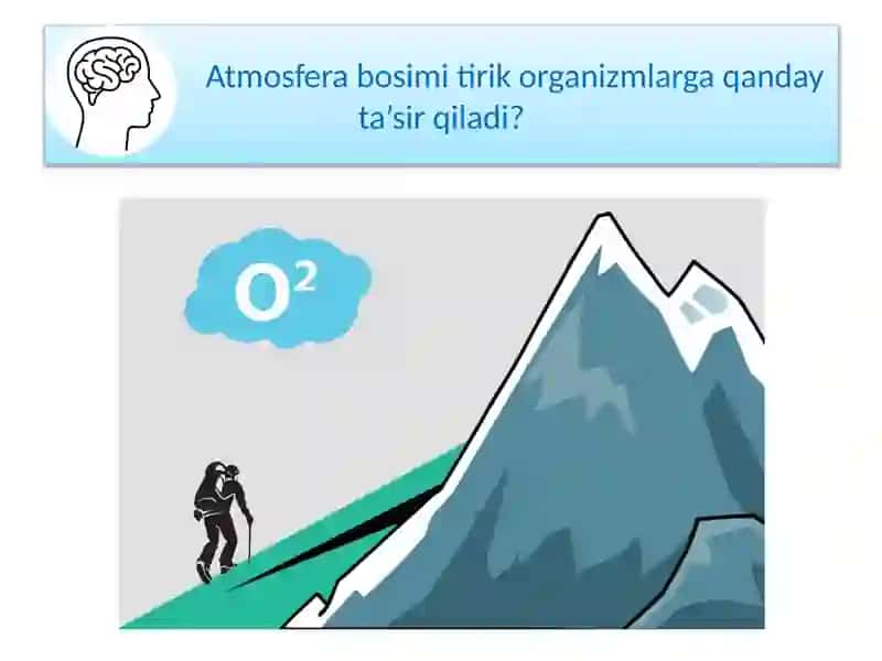MAVZU.BOSIM TIRIK ORGANIZMLAR HAYOTIDA 3