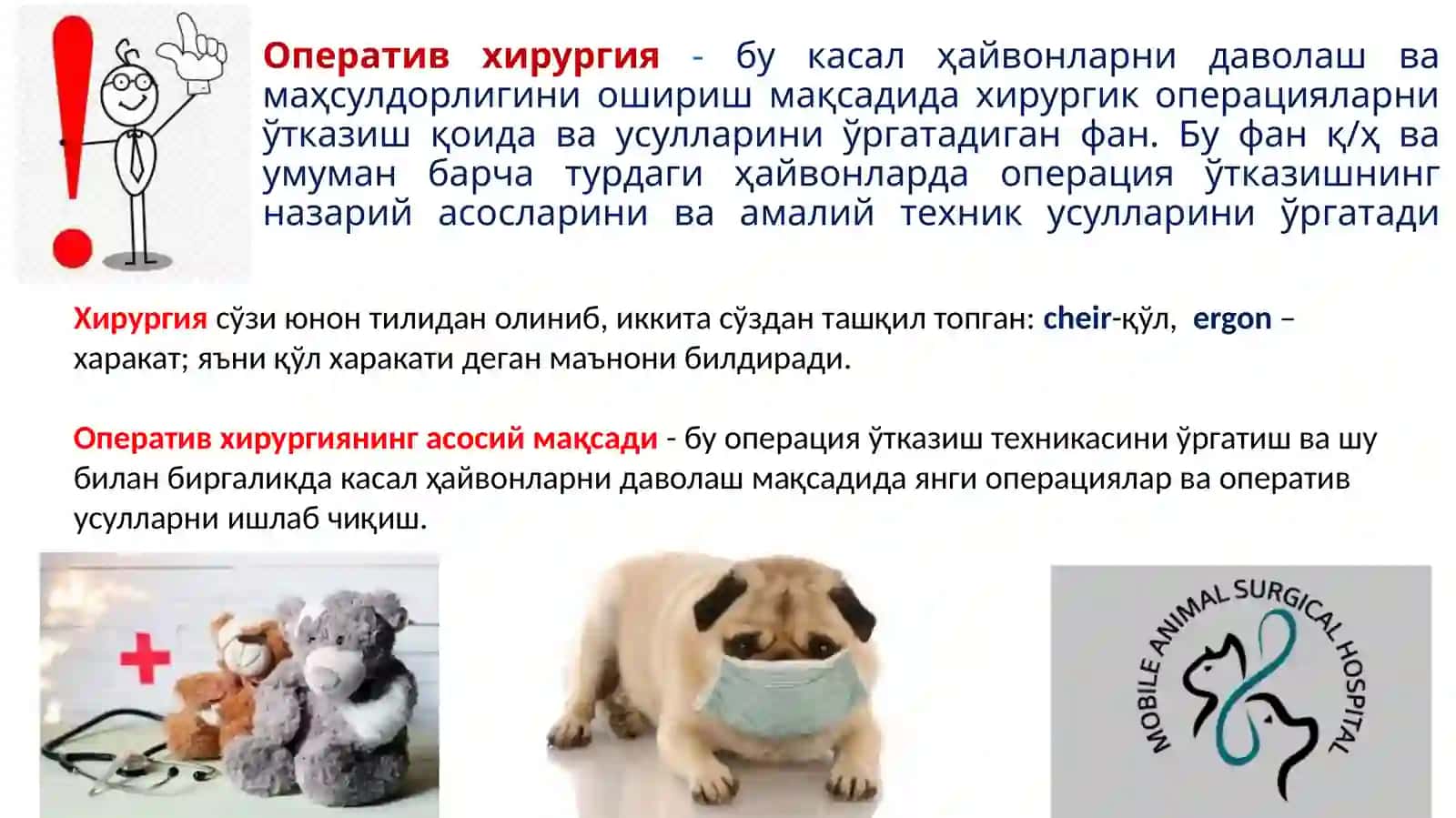 «Оперативхирургия ва топографик анатомия» фанидан маъруза матнлари тақдимоти 3