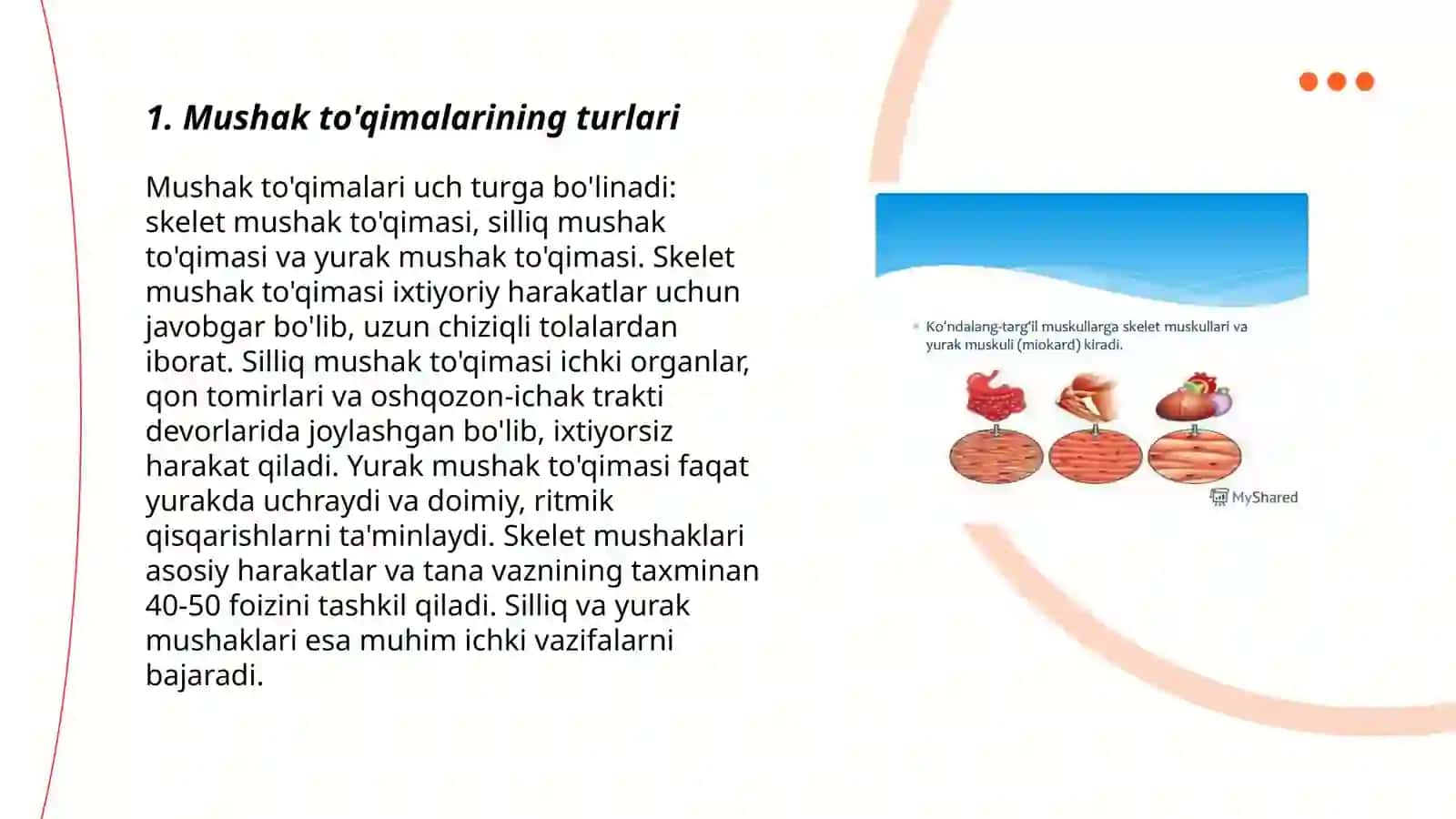Silliq va ko'ndalang-targ'il mushaklari fiziologik farqlari 3