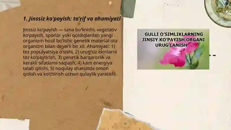 Oʻsimliklarning jinssiz va jinsiy koʻpayishi 3