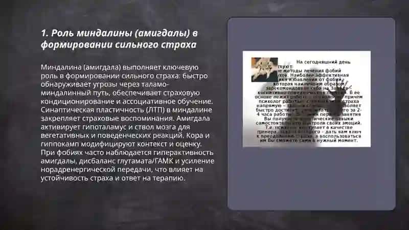 Роль миндалины (амигдалы) в формировании сильного страха 3