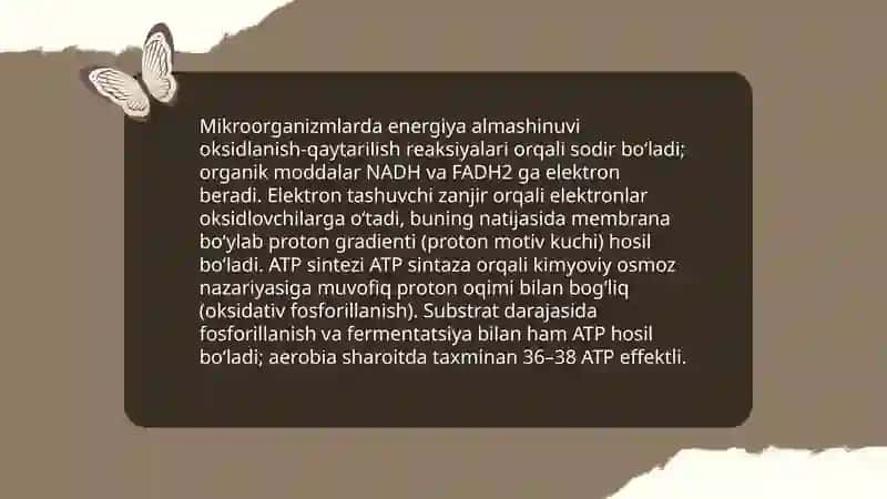 Mikroorganizmlar fiziologiyasi 3