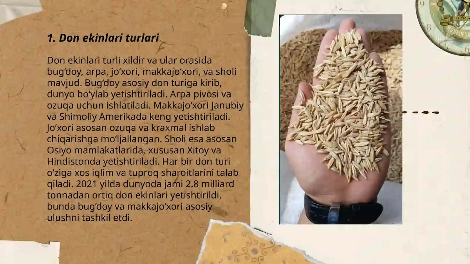 Qishloq xoʻjaligida Don va don mahsulotlarni tutgan oʻrni 3
