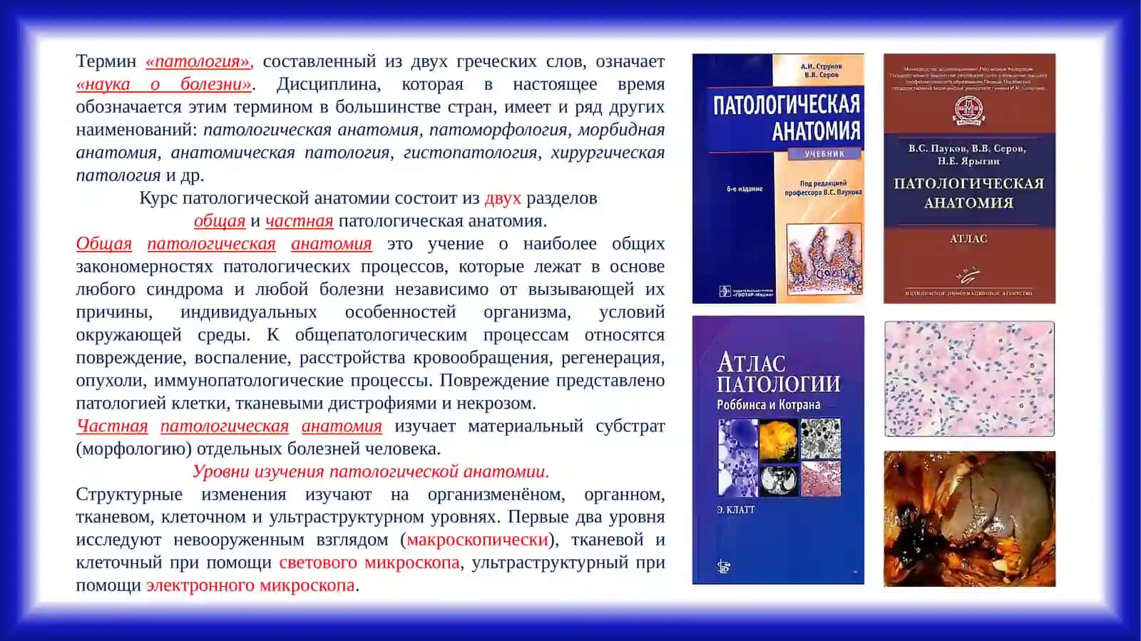 АЛЬТЕРАЦИЯ. ДИСТРОФИЯ 3