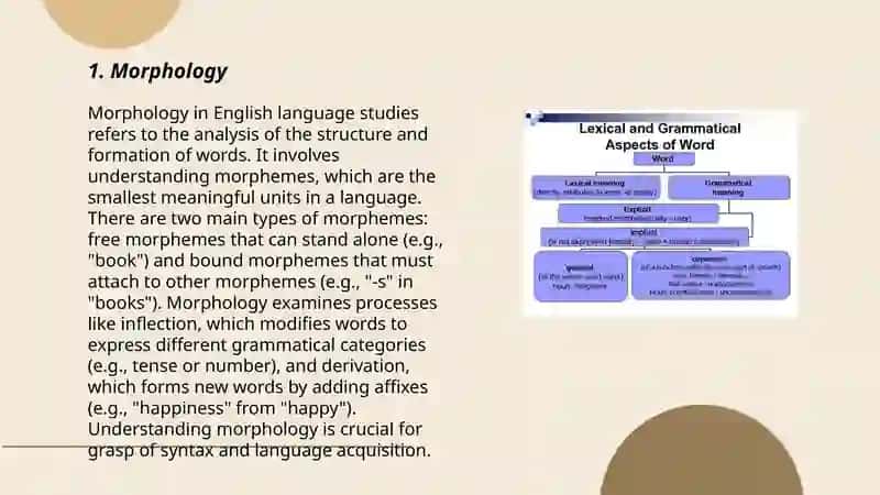 Connection of structure and meaning of words 3