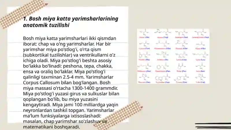 Bosh miya katta yarimsharlarining funksional asimmetriyasini tashxis qo'yishda ahamiyati 3