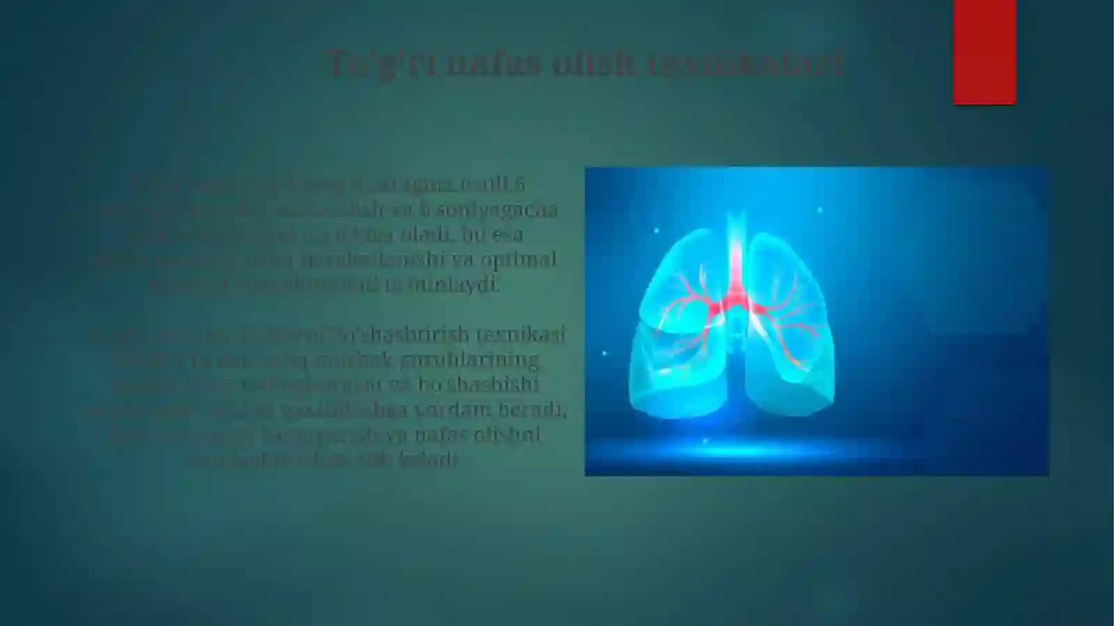 Nafasolishtizimi 3