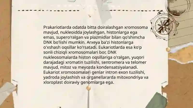 Prakariot va Eukariotlarning gen tuzilishi 3