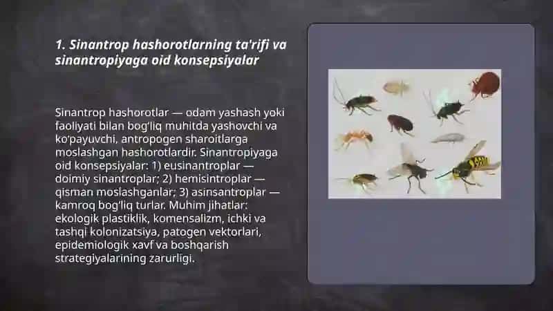Sinantrop ko’rinishidagi hashorotlar va ularning epidemologik ahamiyati 3