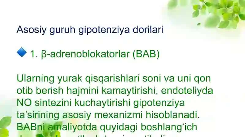 Gipotenziv dori vositalari 3