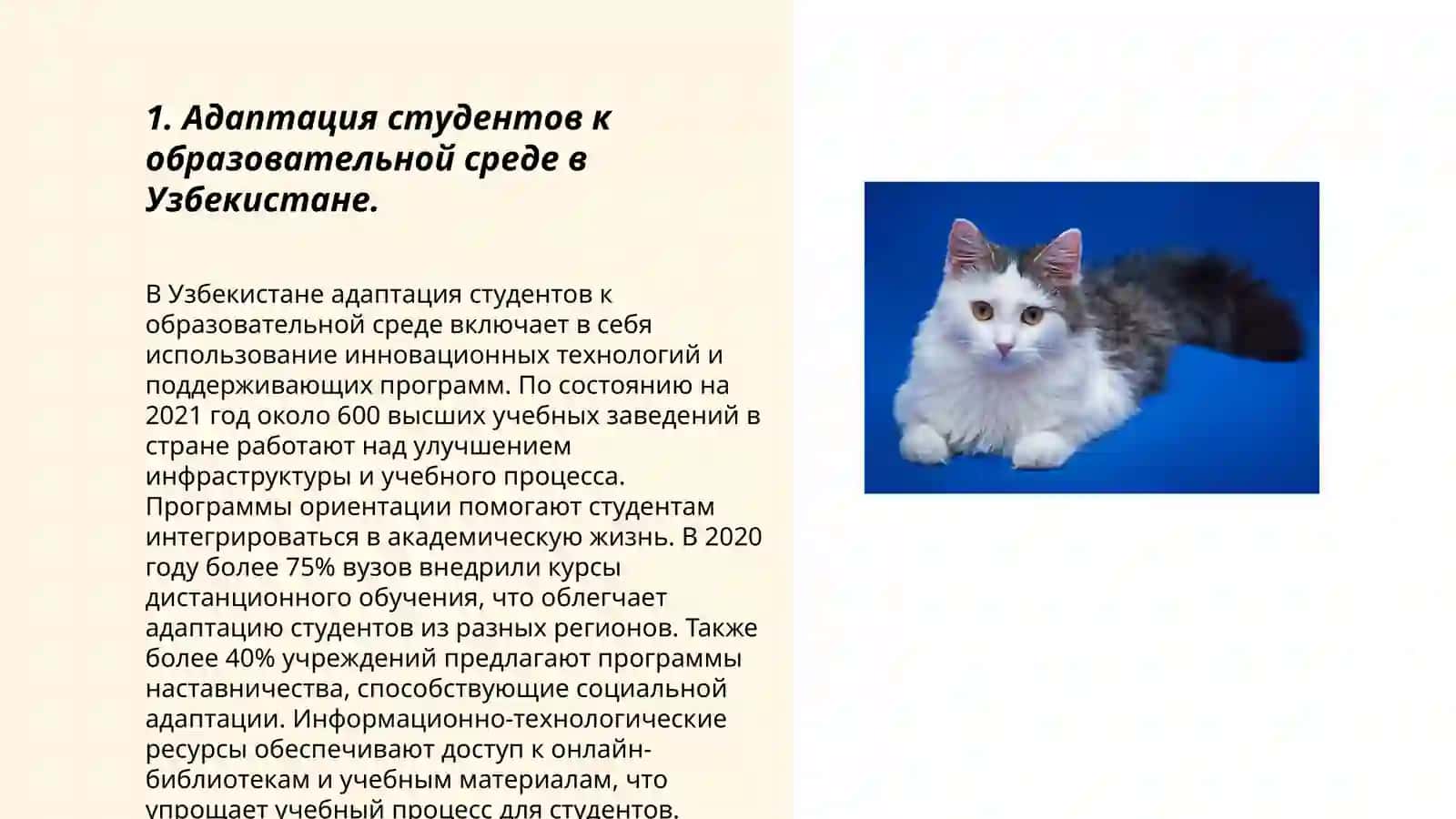 Студент в высшем учебном заведении. Адаптация студента к профессионально- педагогической деятельности в Узбекистане и Финляндии 3
