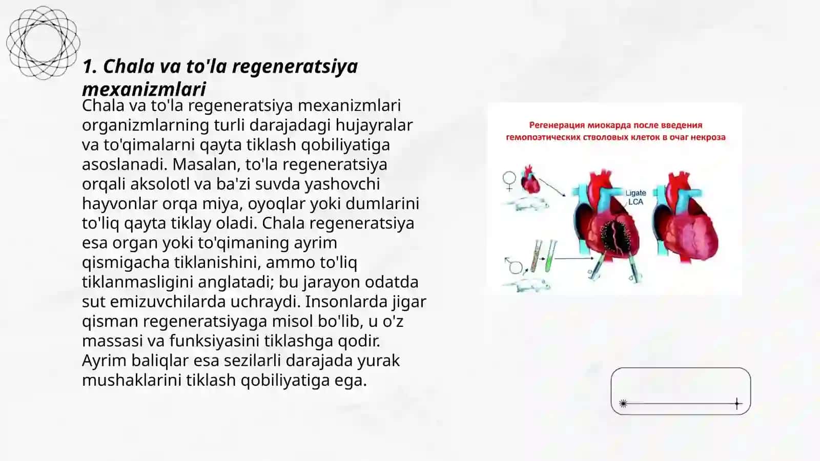 Chala va to'la regeneratsiya 3