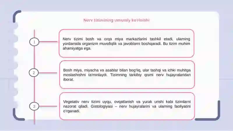 Nerv tizimi . Bosh miya , miyacha , vegitativ nerv tizimi gistalogiyasi 3