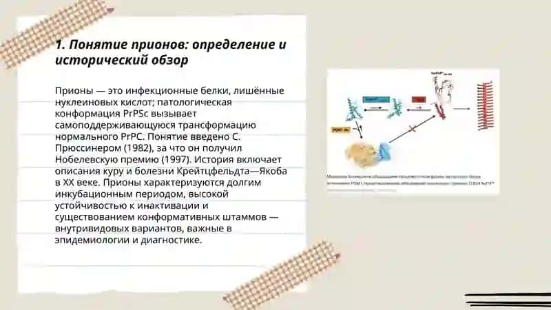 Микробиология - Понятие «прионы». Внутривидовые варианты, не включенные в классификацию бактерий, но используемые на практике 3