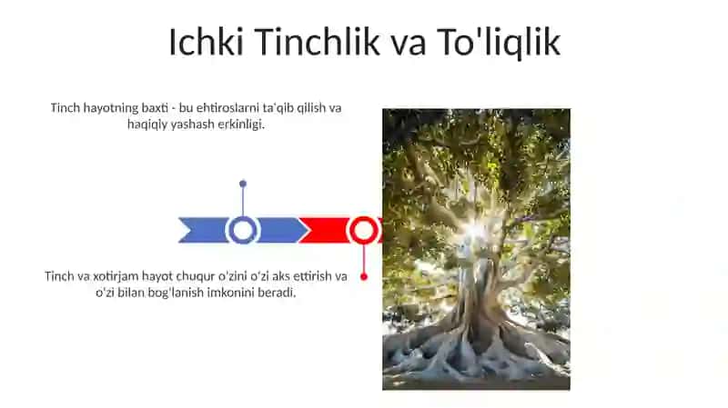 Tinch va hotirjam yashash baxti 3