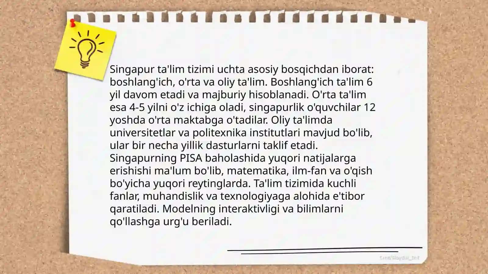 Singapur taʼlim tizimi 3