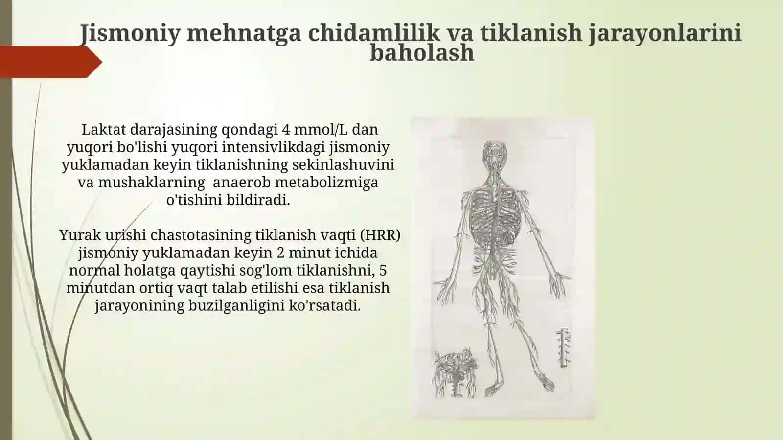 Jismoniy mehnatni bajarishda organizmning funktsional holatini baholash 3