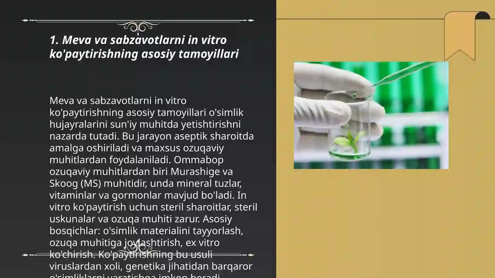 Meva va sabzavotlarni in vitro ko'paytirish 3