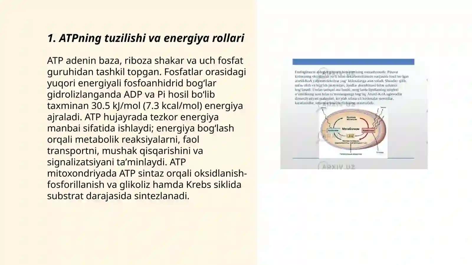 Metabolizm jarayonida energiya hosil bo'lishi va sarflanishi 3