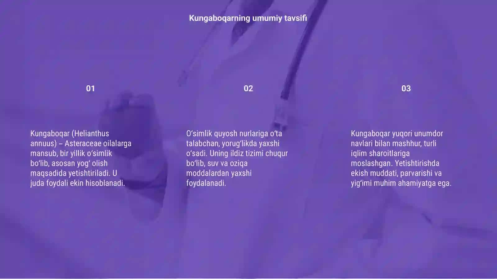 Kungaboqar biyalogiyasi va yetishtirish texnologiyasi 3