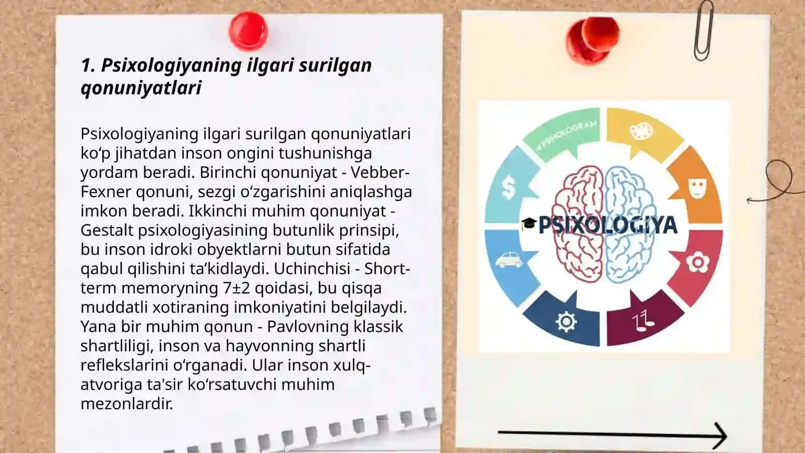 Umumiy psixologiyaning asosiy tamoyillari 3