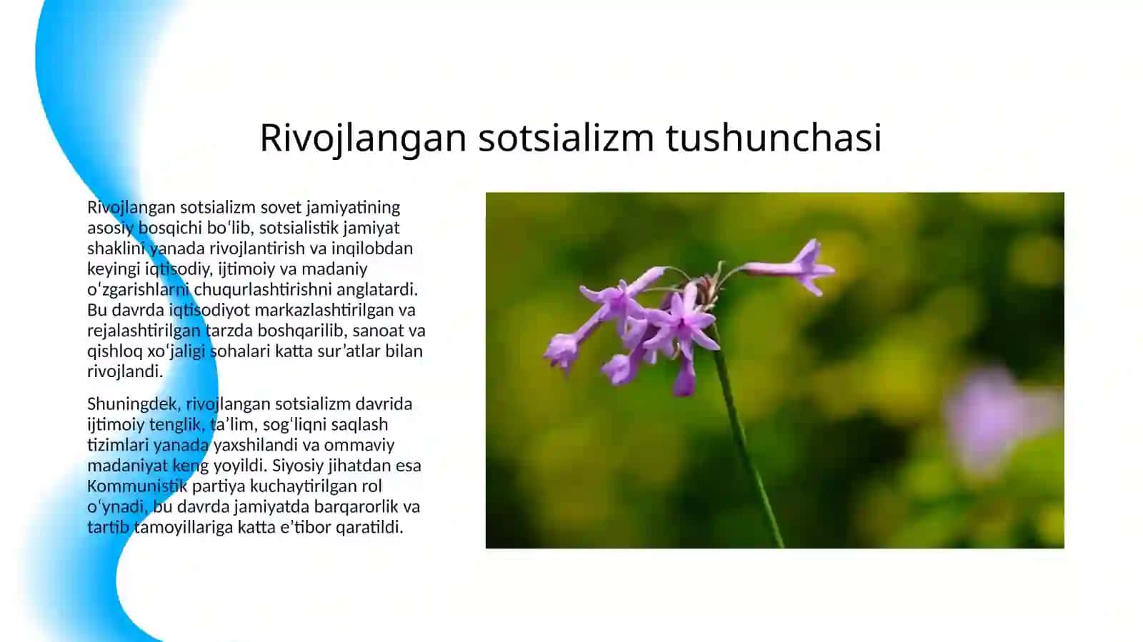 SOVET JAMIYATI «RIVOJLANGAN SOTSIALIZM» DAVRIDA SOBIQ SSSR -NING BOTISHI VA QULASHI 3