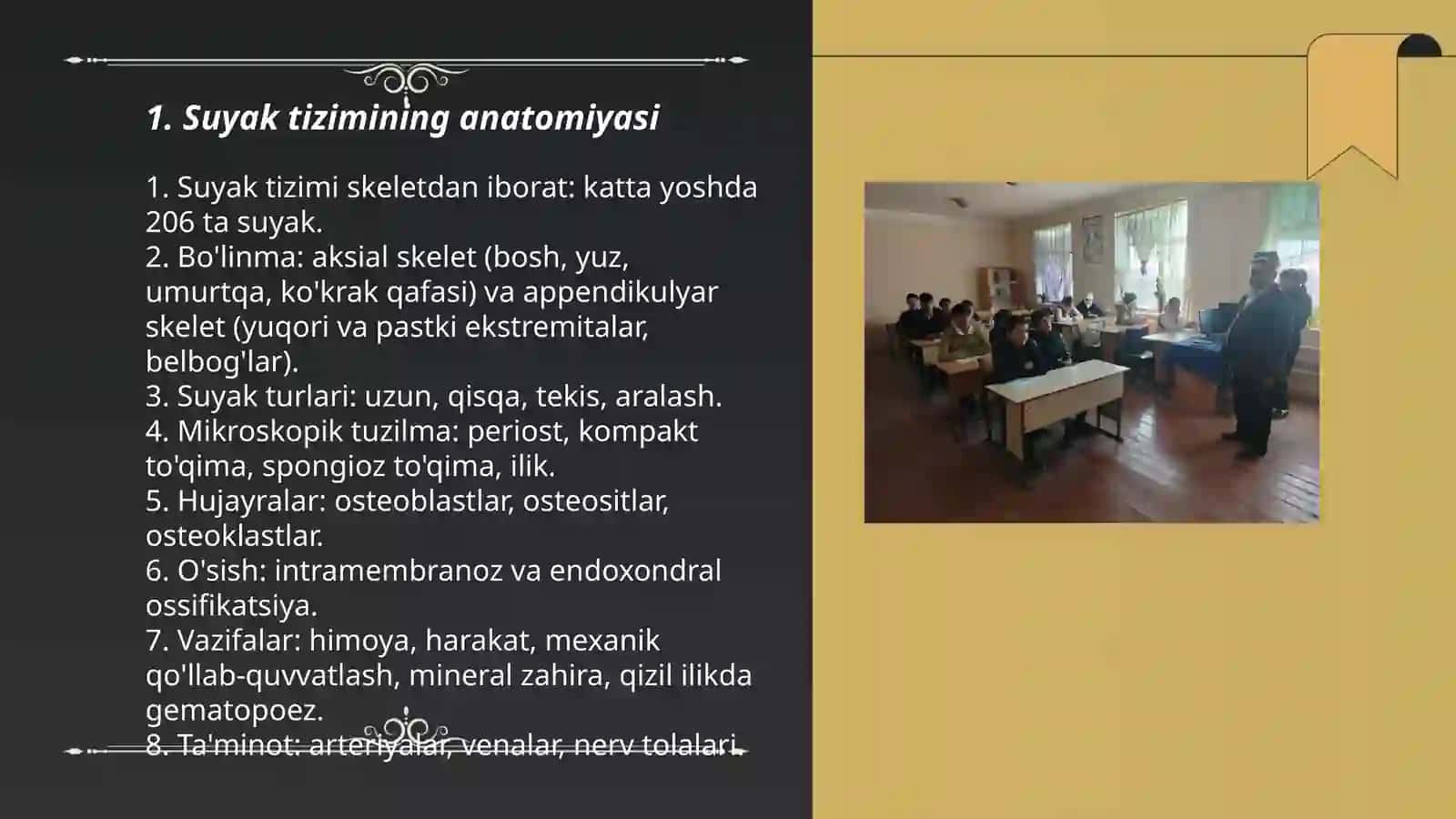 Tayanch harakatlanish sistemasi 3