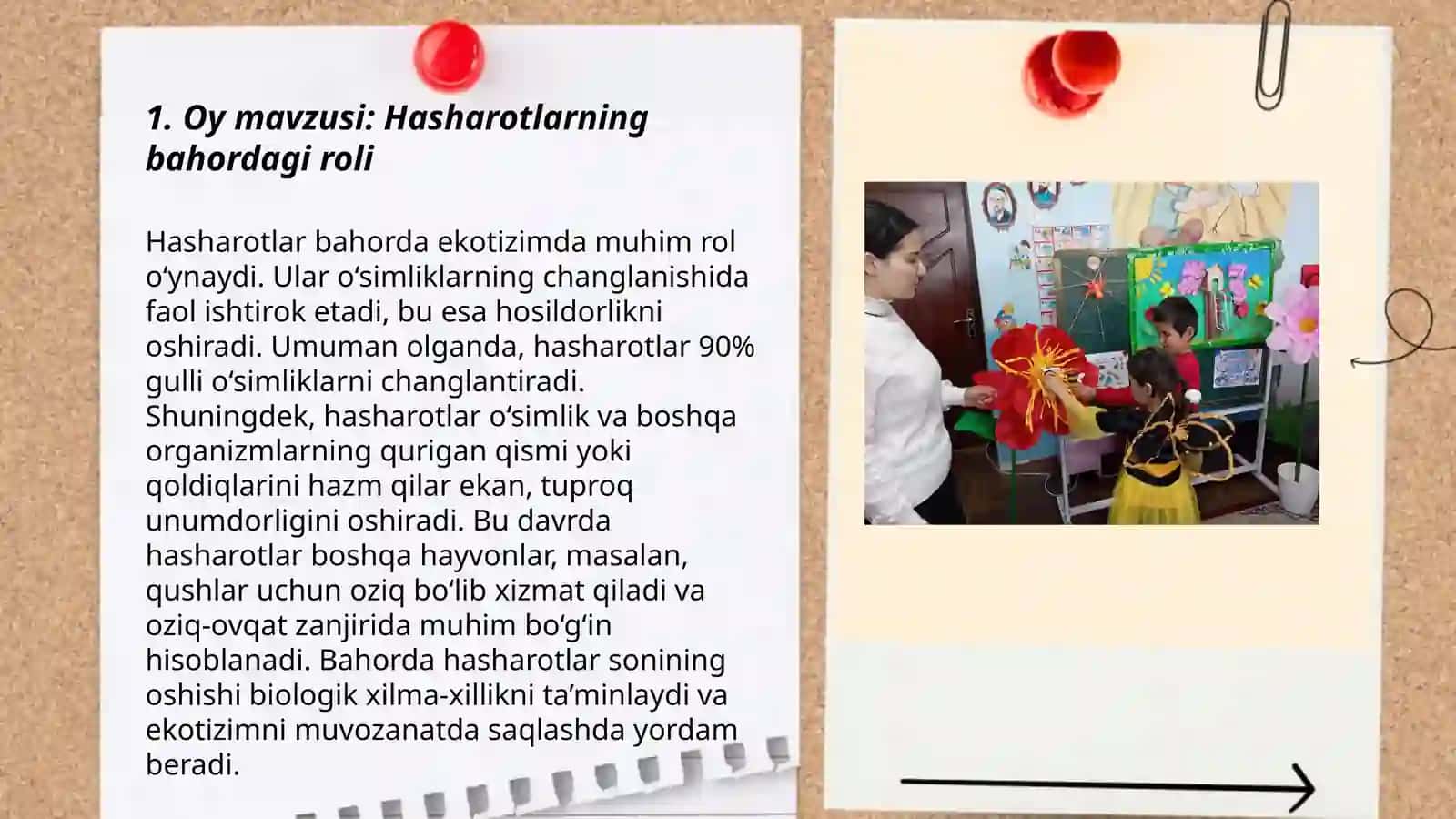 Hasharotlarning bahordagi roli 3