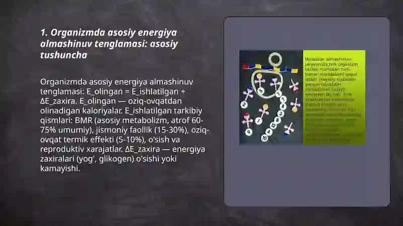 Organizmda asosiy energiya almashinuv tenglamasi va uni tashkil etuvchilari 3