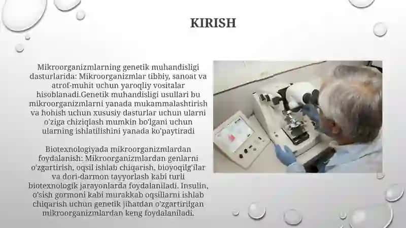 Mikroorganizmlarni Gen Muhandisligida Qo'Llanilishi Va Bu Sohada Erishilgan Yutuqlar 3