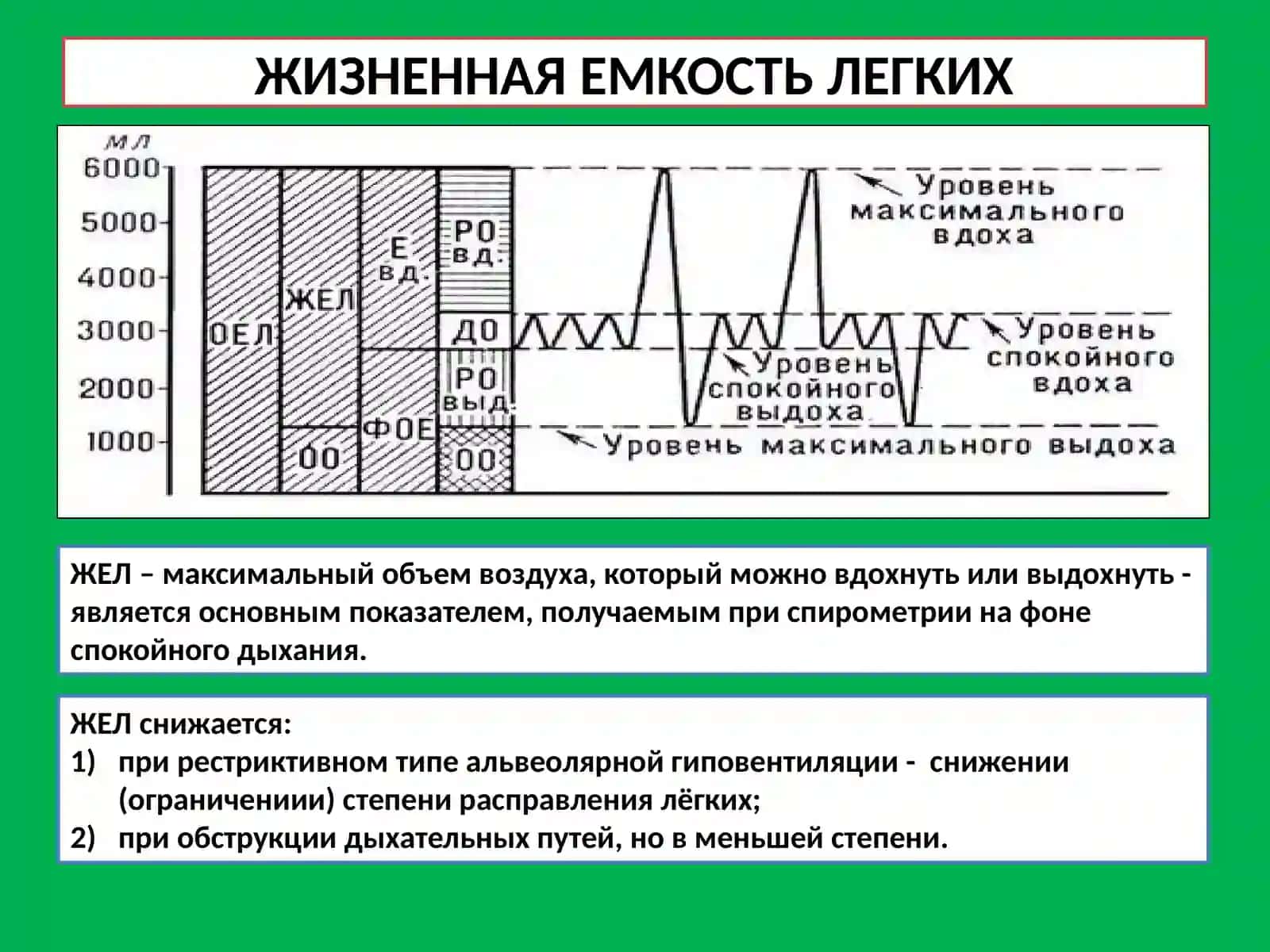 СПИРОМЕТРИЯ, ПИКФЛОУМЕТРИЯ; СИНДРОМ НАРУШЕНИЯ БРОНХИАЛЬНОЙ ПРОХОДИМОСТИ 3