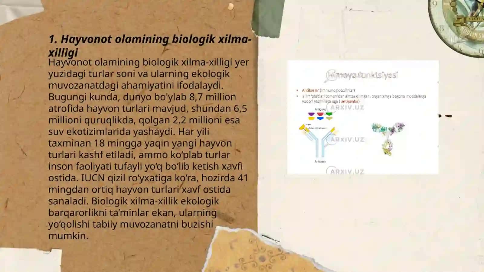 Hayvonot olamining xilma-xilligi 3