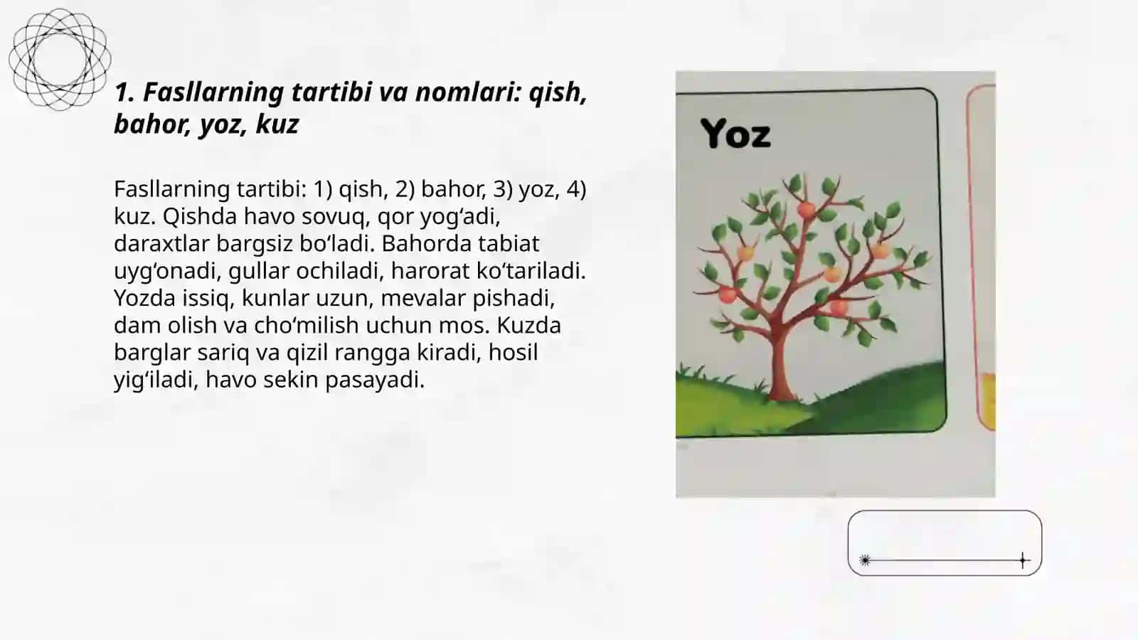 3- sinf Oʻqish fani mavzu Bir birini kuzatar fasllar 3