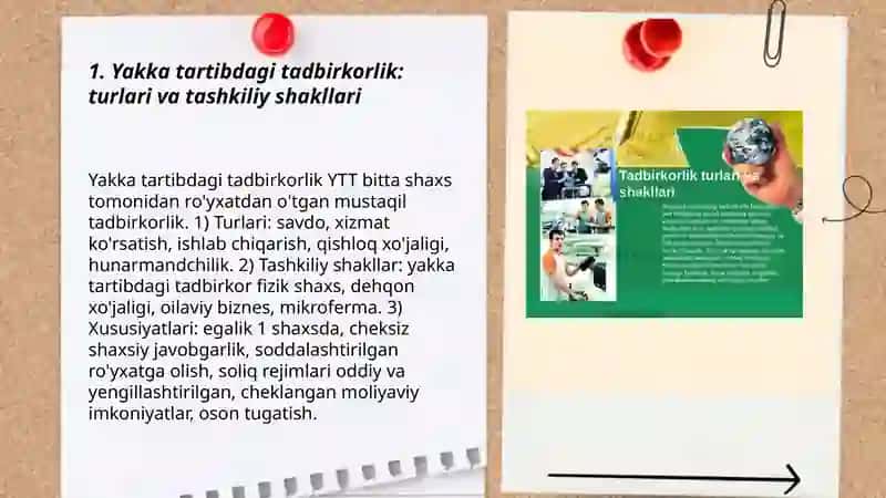Yakka tartibdagi tadbirkorlik: turlari va tashkiliy shakllari 3