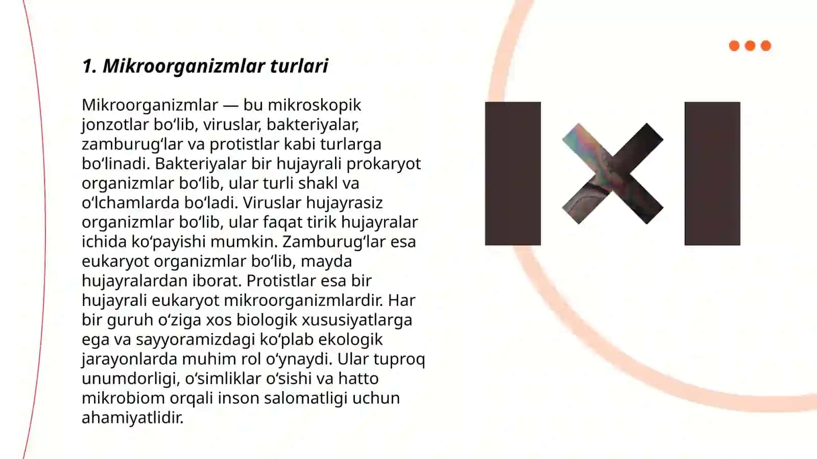 Mikroorganizmlarning Turlari 3