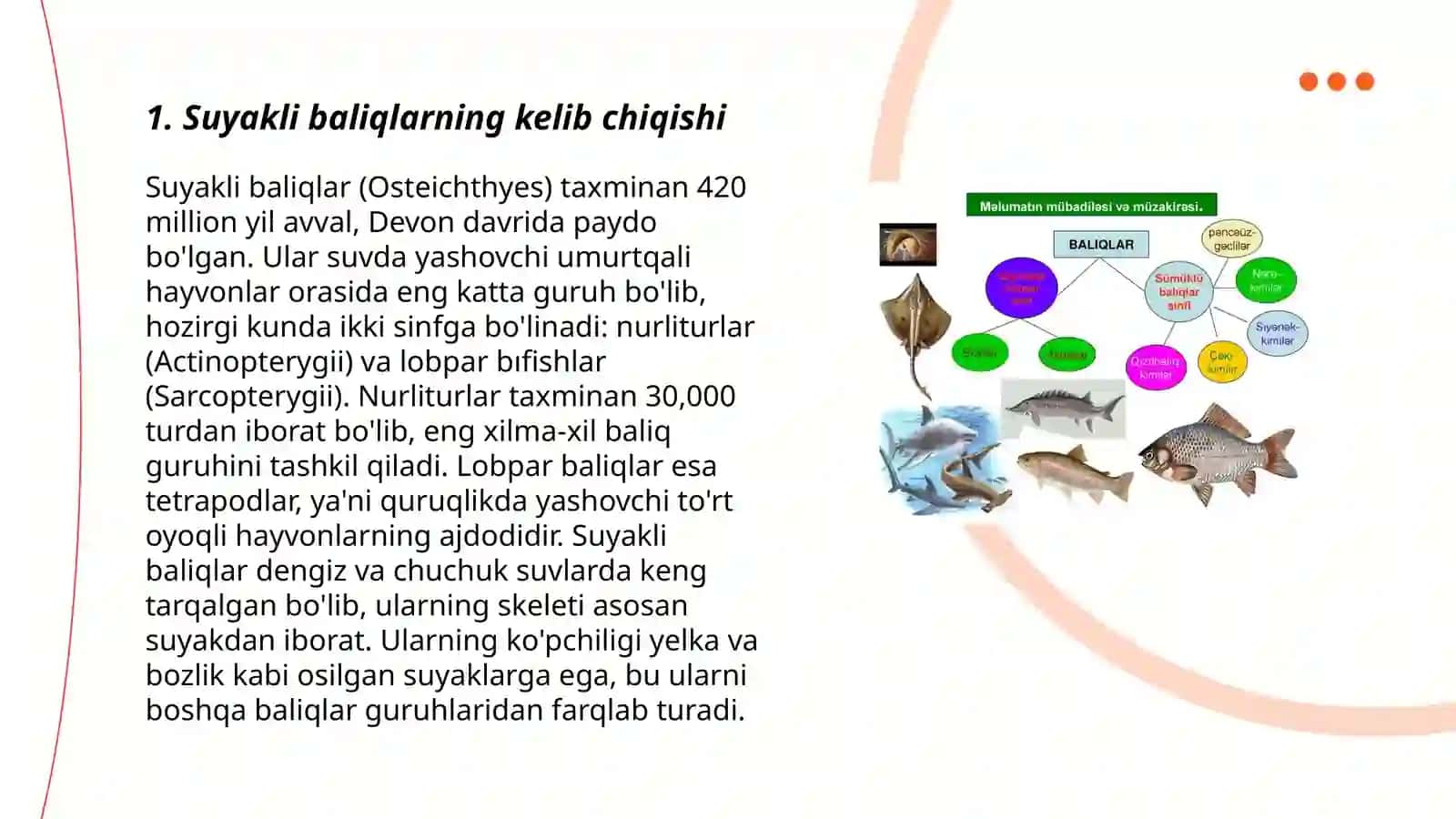 Suyakli baliqlarning kelib chiqishi sistemasi va evolyutsiyasi 3