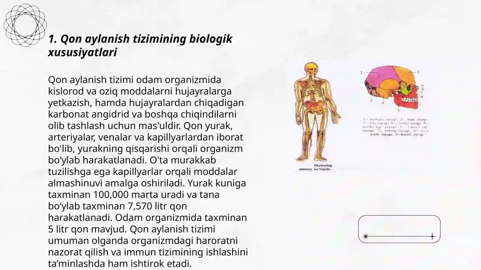 Qon aylanish tizimining biologik xususiyatlari 3