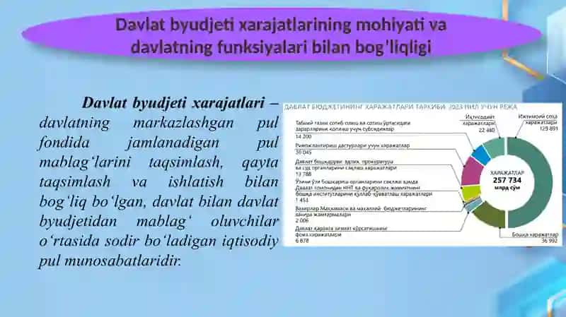 Davlat byudjeti xarajatlari tizimi. Davlatning Maqsadli Jamg`armalari 3