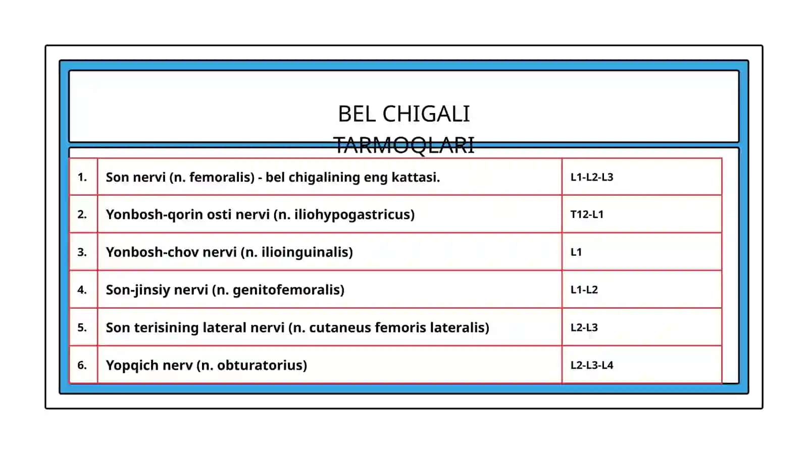 BEL CHIGALI.DUMG‘AZA CHIGALINING HOSIL BO‘LISHI,UNING QISQA VA UZUN TARMOQLARI.OYOQ TERISINI INNERVATSIYASI 3