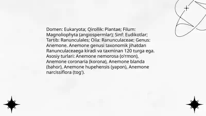 Shamol guli 3