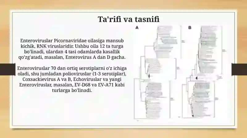 Enteroviruslar va ularning klinik ko‘rinishlari (meningit, miokardit va b.) 3