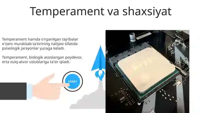 Psixik jarayonlarning vujudga kelishi 3