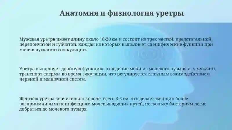 Мочеиспускательный канал 3