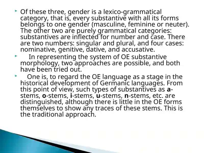 Three grammatical categories in OE substantives 3