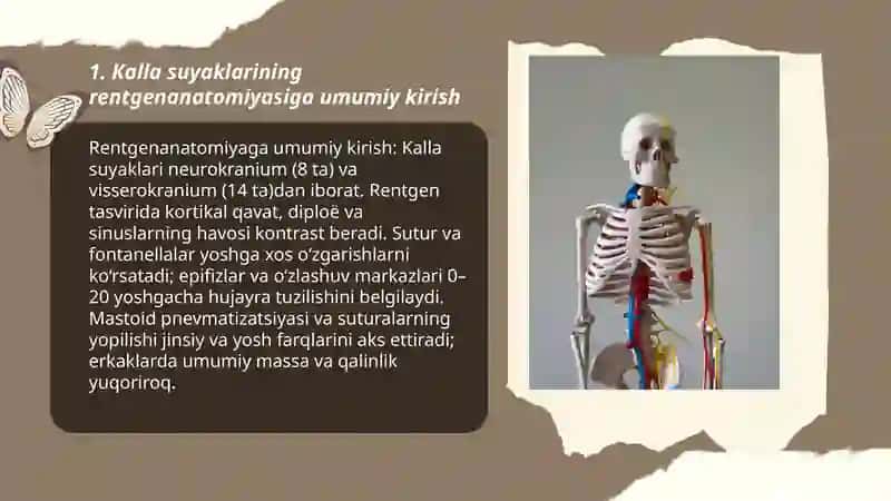 Kalla suyaklarining rentgenanatomiyasi 3