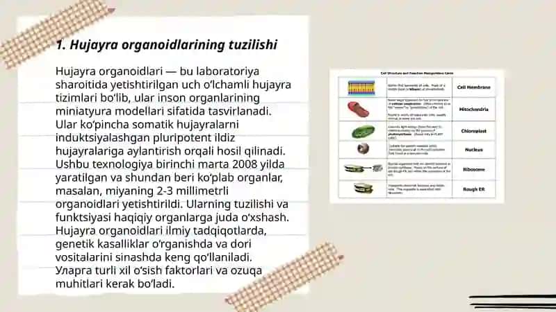 Hujayra organoidlarining funksiyalari 3